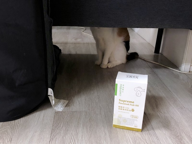 試用
